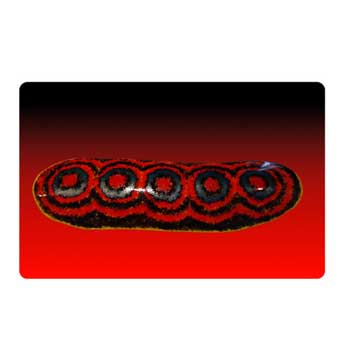 AAA